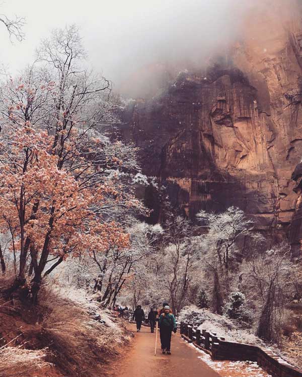 CT Lella Zion National Park